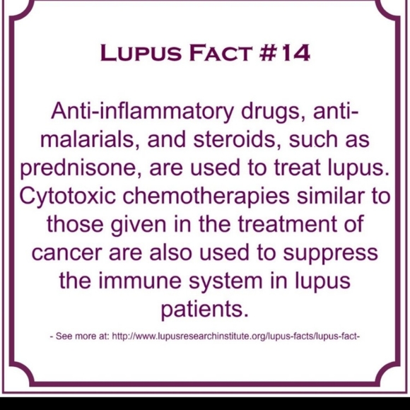 Meet your Posher, Debbie - Picture 14 of 16